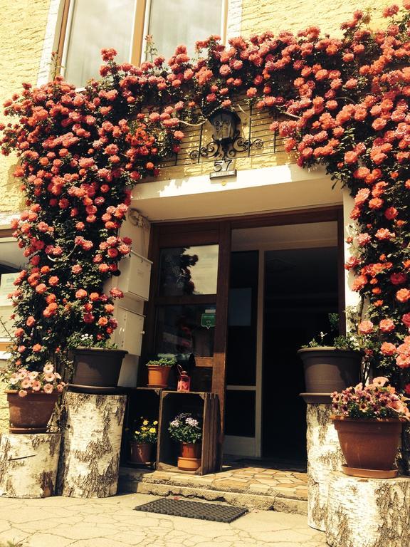 Pension Horfarter Fieberbrunn Exterior photo